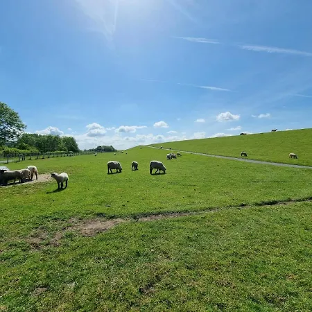 Holiday home Nordseekrabbe *